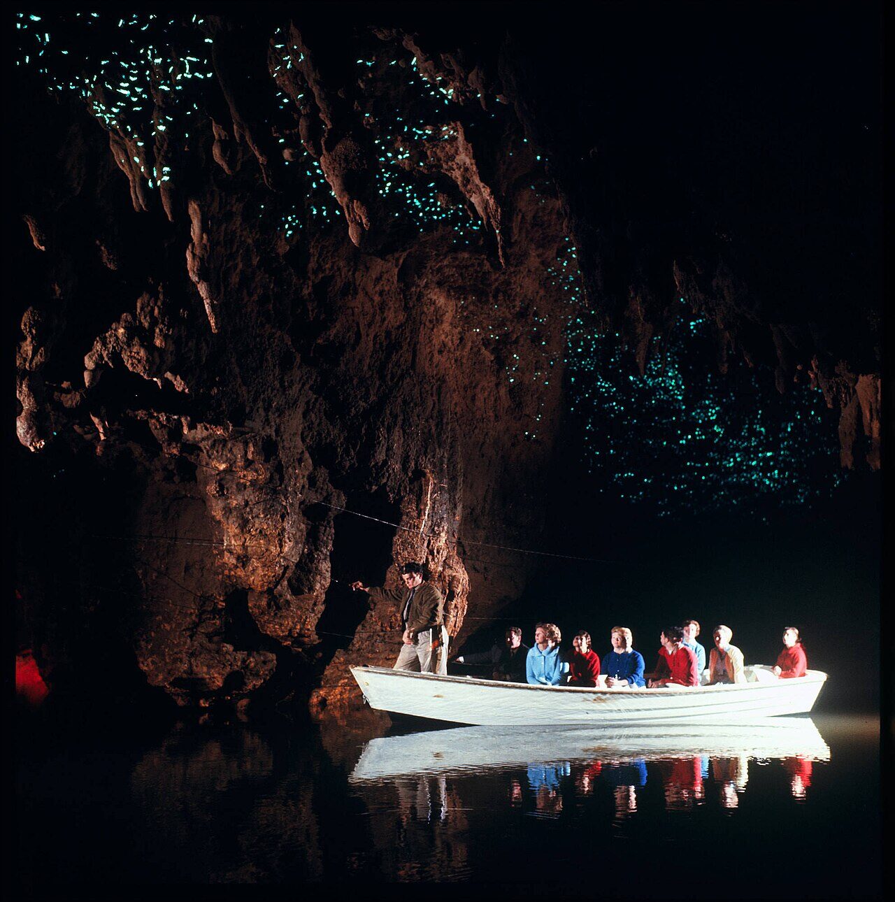 Glowworms lighting the roof of the Waitomo Glowworm Grotto