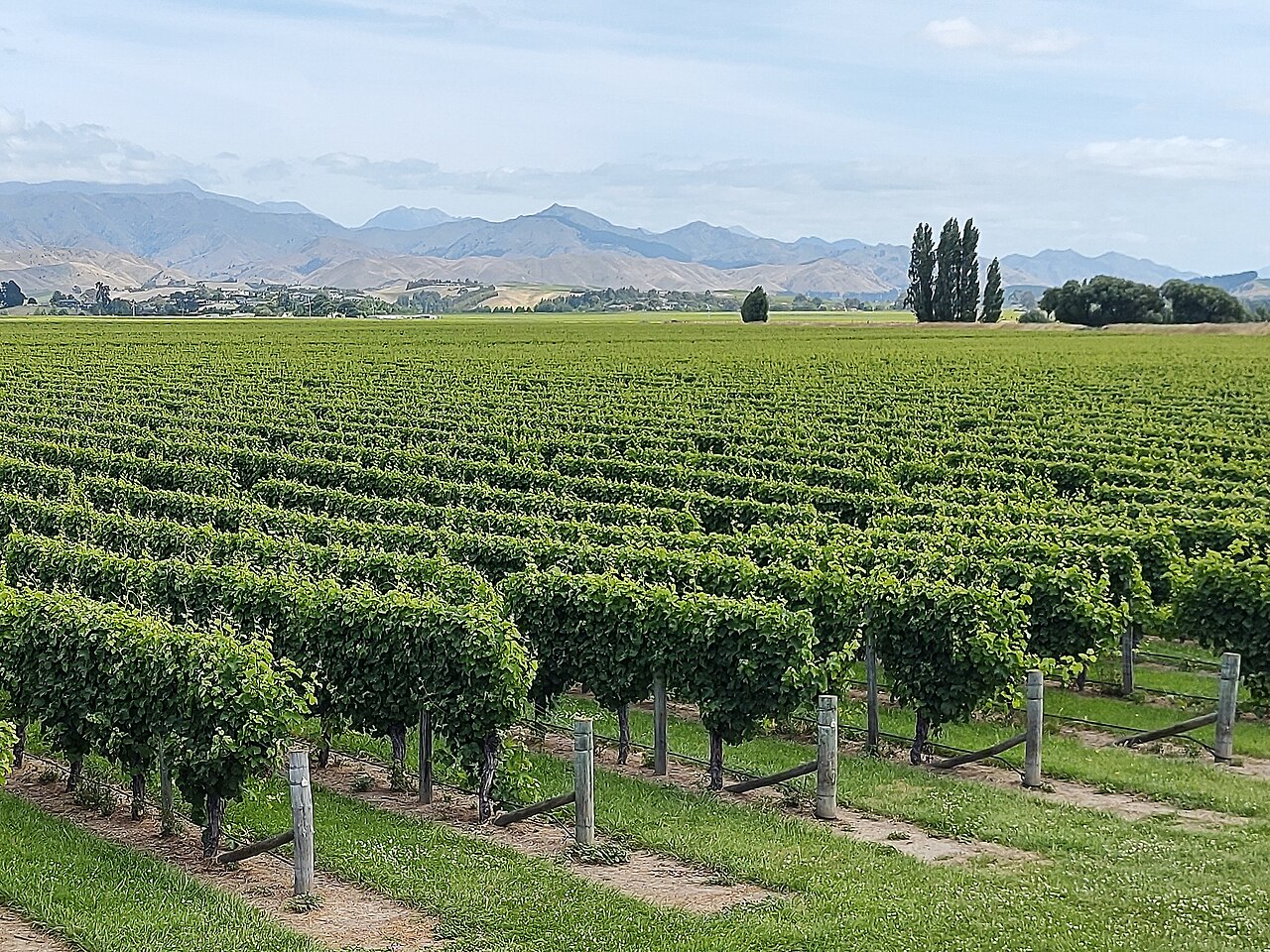 Wine & Food Trails